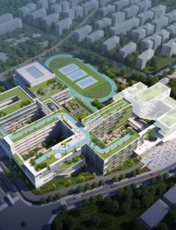 凤鸣小学
